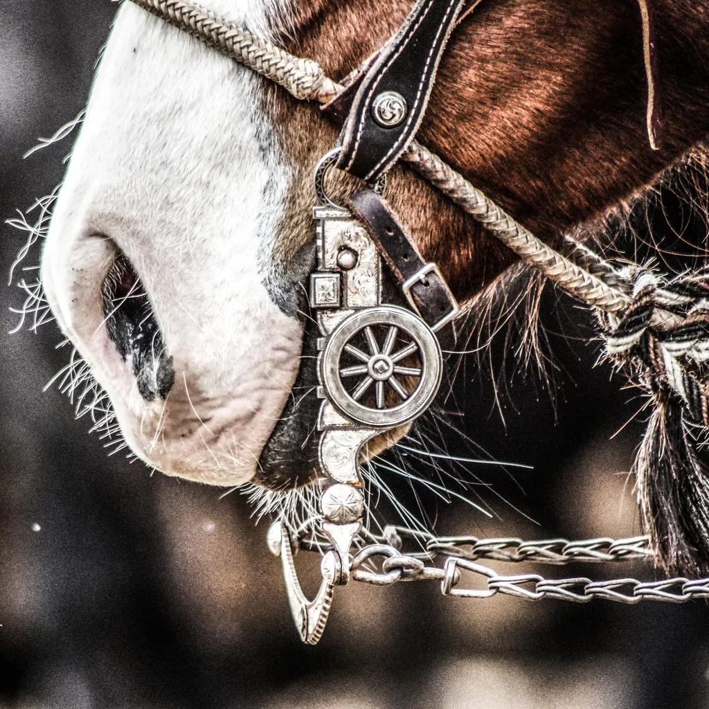 Handmade western saddle and leather gear in a warm rustic workshop